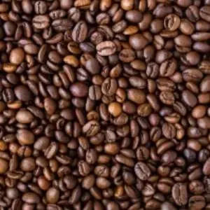 Cocoa Beans