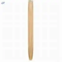 1" Human Hair Clip-In Extension