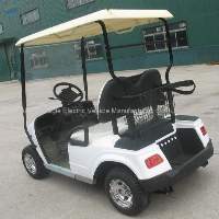 Electric Vehicle Panels