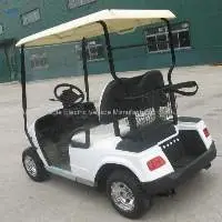 Electric Vehicle Panels