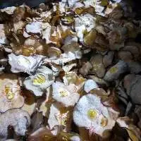 Dried Slice Garcinia Cambogia