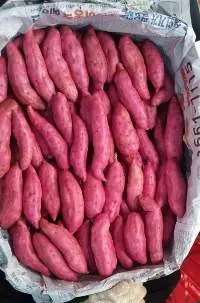 Sweet Potato, Beniazuma, Murasaki, Cilembu