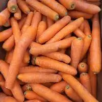 Carrot Very Fresh Vegetables