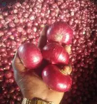 Red Onion