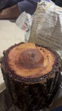 Red Sandalwood
