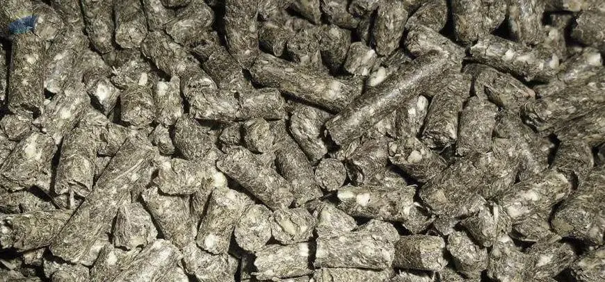 Toasted High-protein Sunflower Meal In Pellets