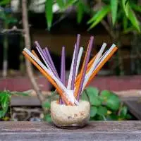 Rice Straw