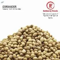 Coriander