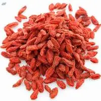 Organic Goji Berries