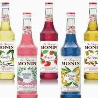 Monin Syrup 70cl