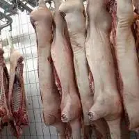 Frozen Pork Whole Carcass