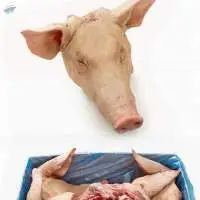 Frozen Pork Head