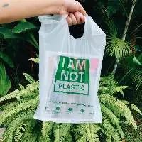 Cassava T-Shirt Bag, Cassava Griphole Bag