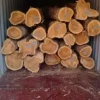Teak Wood