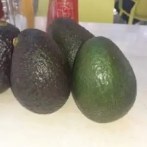 Avocado