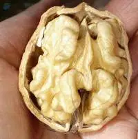 Walnuts