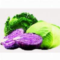 Cabbage