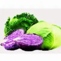 Cabbage