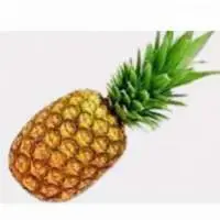 Fresh Pineapple