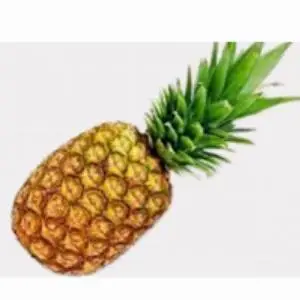 Fresh Pineapple