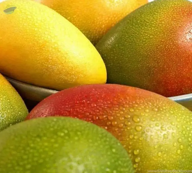 Fresh Mango