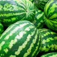 Fresh Watermelon
