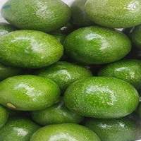 Avocado