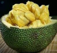 Jack Fruit