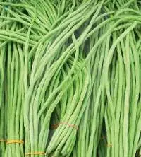 Beans