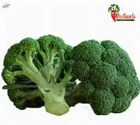 Broccoli