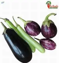 Brinjal