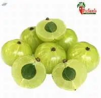 Gooseberry