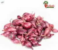 Small Shallot Onions