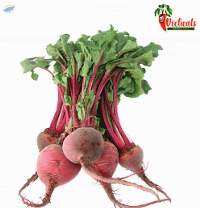 Beetroot