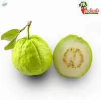 Guava