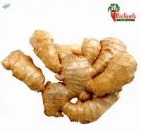 Ginger
