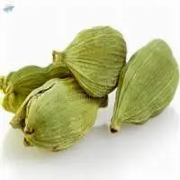 Green Cardamom