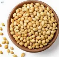Coriander Seeds