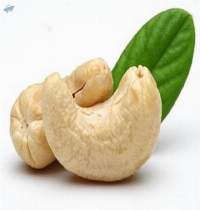 Cashew Nuts