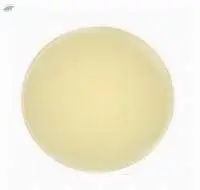Papad
