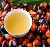Palm Oil Indonesia Malaysia