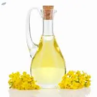 Rapeseed Oil Or Canola Oil