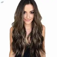 Brazilian Hair Wigs Human Lace