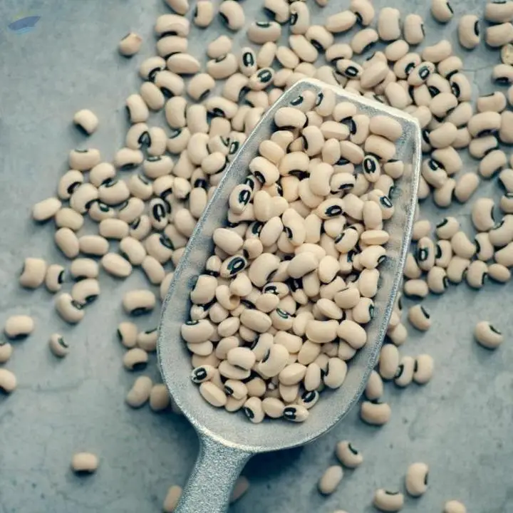 Beans