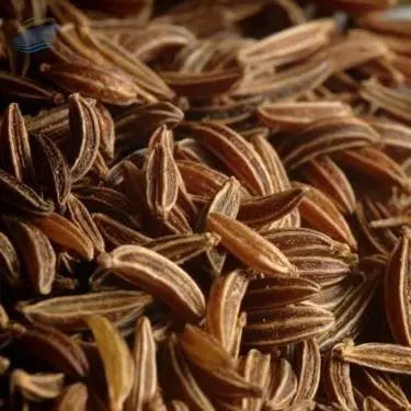 Caraway Seeds