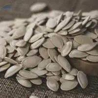 Pumpkin Seeds