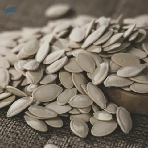 Pumpkin Seeds