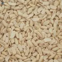 White Sesame Seeds