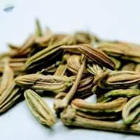 Fennel Seeds