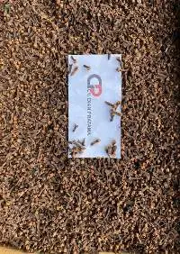 Cloves